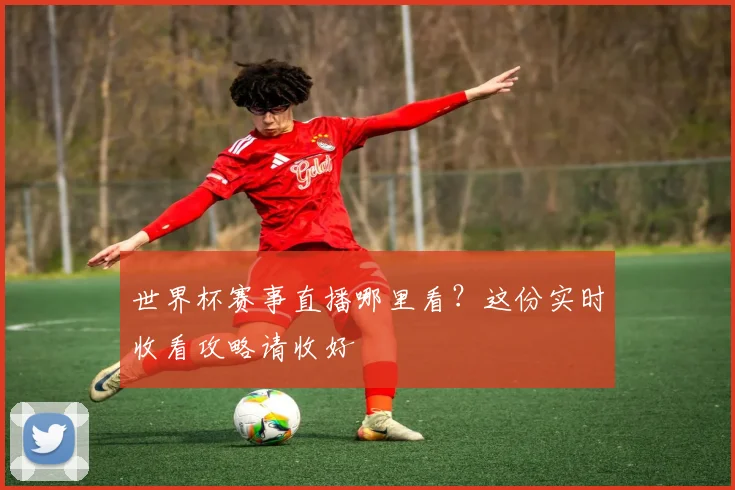世界杯赛事直播哪里看？这份实时收看攻略请收好