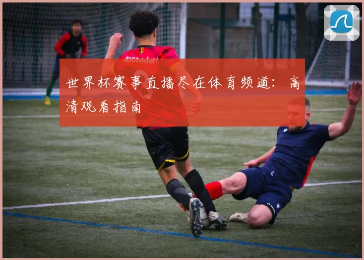 世界杯赛事直播尽在体育频道:高清观看指南