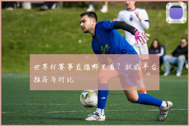 世界杯赛事直播哪里看?权威平台推荐与对比