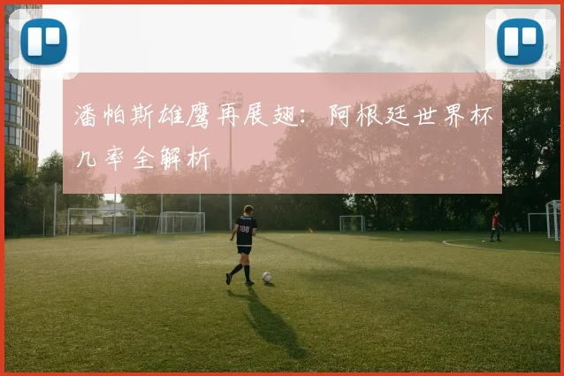 潘帕斯雄鹰再展翅：阿根廷世界杯几率全解析