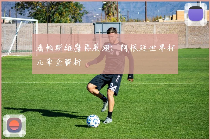 潘帕斯雄鹰再展翅：阿根廷世界杯几率全解析